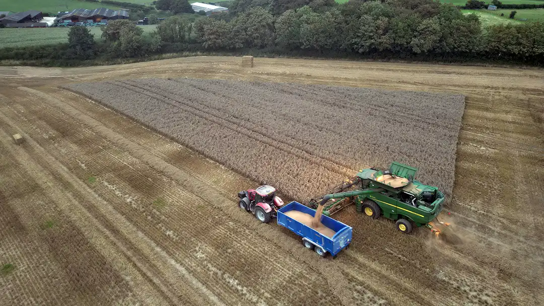 Jurassic Coast Fine Foods Fossil Farm Arable farming