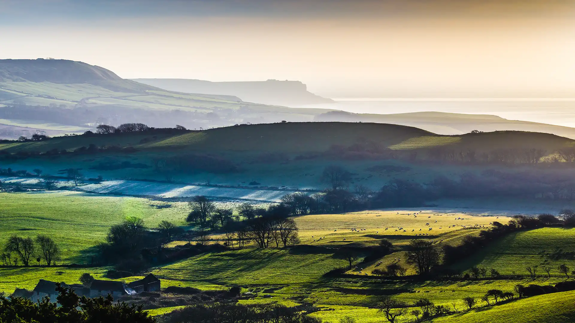 Jurassic Coast Fine Foods product range